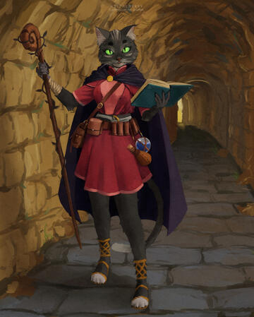 A Tabaxi cleric standing in a tunnel